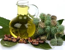 فواید روغن کرچک برای پوست