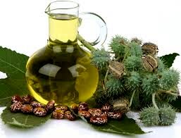 فواید روغن کرچک برای پوست