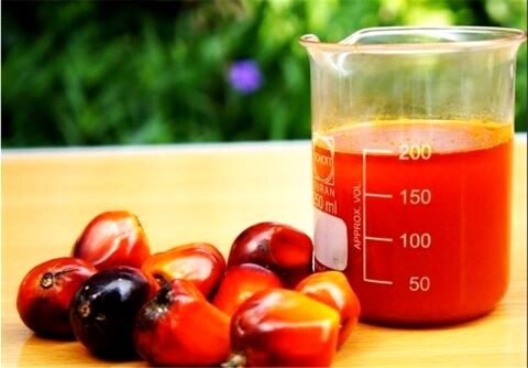 افزایش ۵۰ درصدی واردات روغن پالم