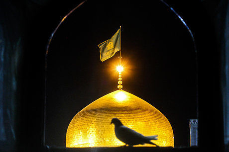 40 حدیث ارزشمند از امام رضا (ع)