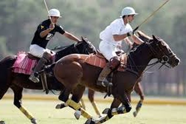 کمانچه و چوگان ثبت جهانی شدند