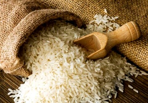 واردات برنج منتفی است