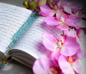 درنده ترین عضو در بدن چیست؟