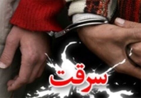باند حرفه ای سرقت خودروهای زانتیا و پژو در مشهد متلاشی شد