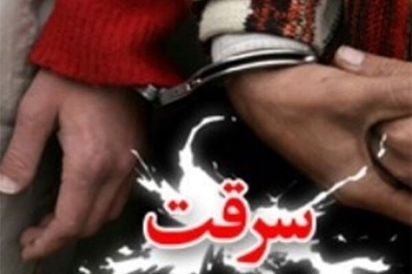 باند حرفه ای سرقت خودروهای زانتیا و پژو در مشهد متلاشی شد