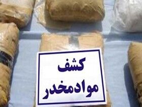 سرشاخه توزیع مواد مخدر در مشهد دستگیر شد