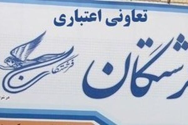 دارایی موسسه فرشتگان تقسیم شد