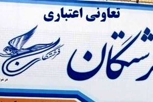 دارایی موسسه فرشتگان تقسیم شد