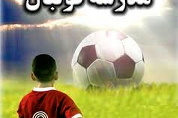 116 مدرسه فوتبال غیر مجاز پلمپ شدند