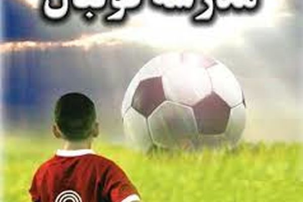 116 مدرسه فوتبال غیر مجاز پلمپ شدند