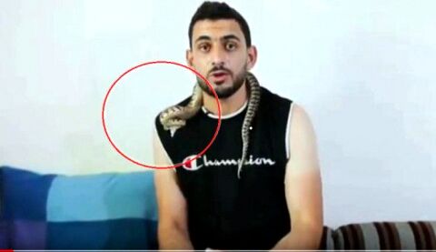 حمله هولناک افعی به یک کارشناس در برنامه زنده