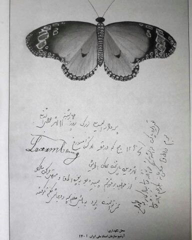 پروانه ای که ناصرالدین شاه از فرنگ آورد!