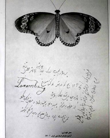 پروانه ای که ناصرالدین شاه از فرنگ آورد!