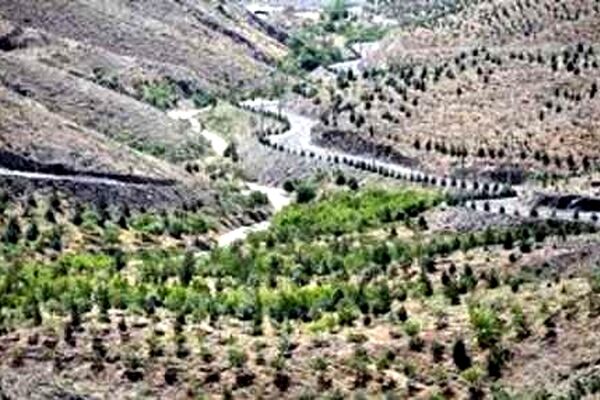 تخریب باغ ها ،توسعه فضای سبز