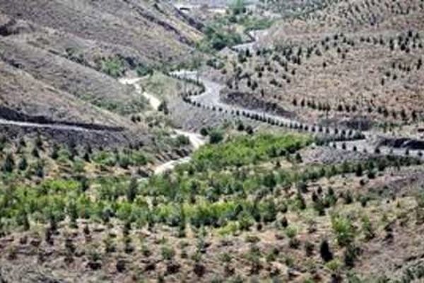 تخریب باغ ها ،توسعه فضای سبز