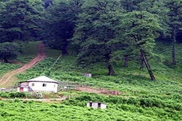 آماده باش یگان حفاظت سازمان جنگل ها از 25 اسفند