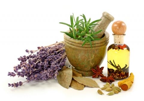 تشکیل 3 تعاونی کشاورزی گیاهان دارویی در خراسان رضوی