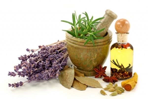 تشکیل 3 تعاونی کشاورزی گیاهان دارویی در خراسان رضوی