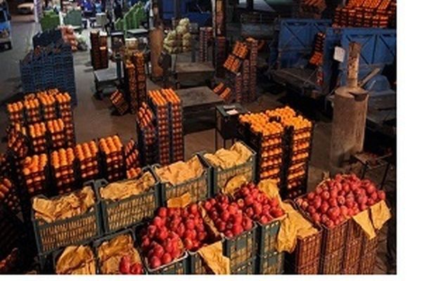 عرضه میوه شب عید در 90 واحد صنفی مشهد