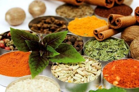 چگونه چربی خون را با گیاهان دارویی کنترل کنیم؟