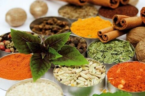 چگونه چربی خون را با گیاهان دارویی کنترل کنیم؟