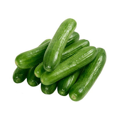 چرا باید هر روز خیار بخوریم؟