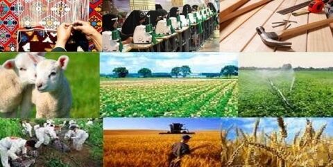 آغاز عملیات پرداخت وام اشتغال روستایی