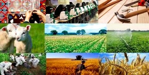 آغاز عملیات پرداخت وام اشتغال روستایی