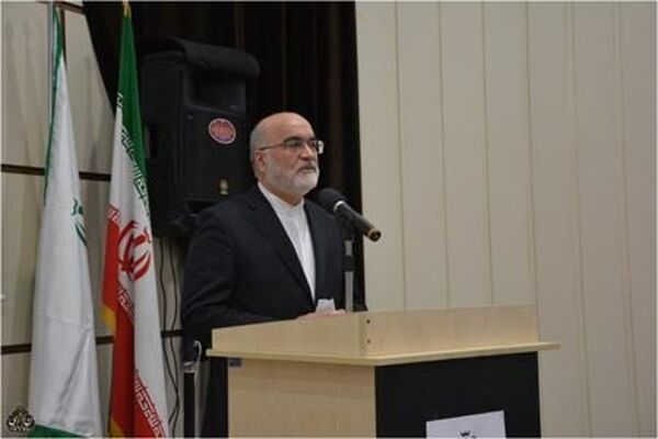 آخرین جزئیات از ورود سازمان بازرسی به کارت‌های بازرگانی