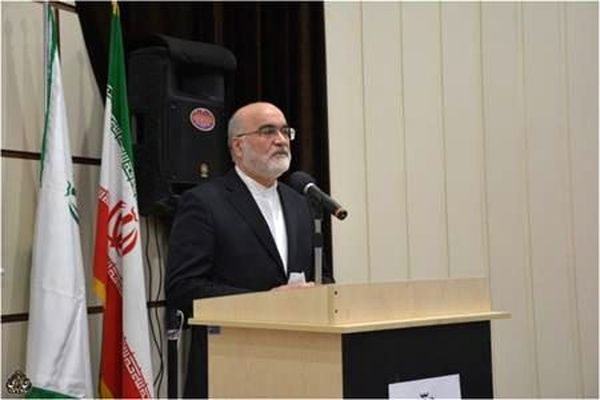 آخرین جزئیات از ورود سازمان بازرسی به کارت‌های بازرگانی