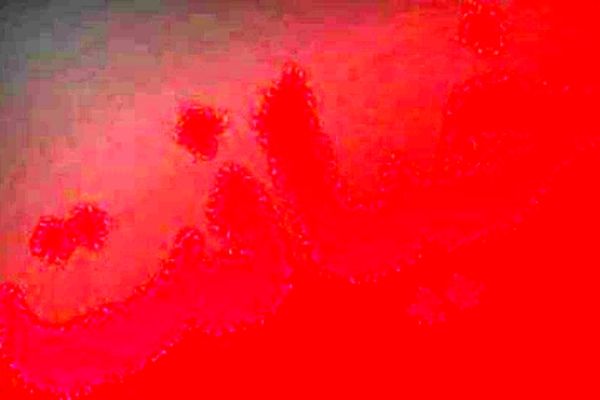 رابطه های پنهانی و خیانت ستاره های مشهور جهان + عکس