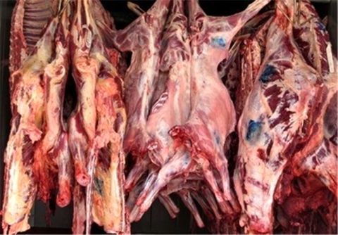 معدوم سازی 34 تن گوشت آلوده وارداتی از افعانستان و ارمنستان در مشهد
