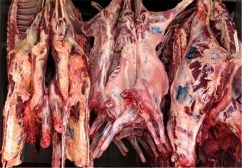 معدوم سازی 34 تن گوشت آلوده وارداتی از افعانستان و ارمنستان در مشهد