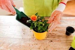 چگونه گلدان‌های قدیمی را نو کنیم؟
