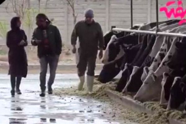 بازیگر سریال «گلشیفته» درگذشت