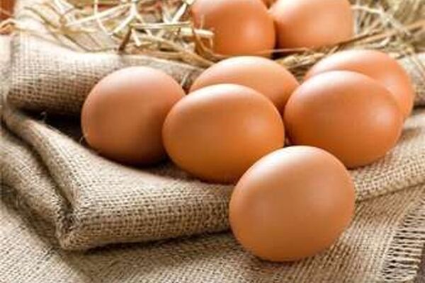 کاهش قیمت تخم مرغ در ماه رمضان
