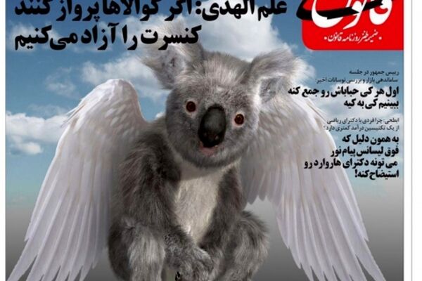 وقتی کوالاها پرواز کنند