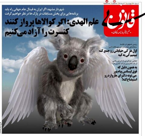 وقتی کوالاها پرواز کنند