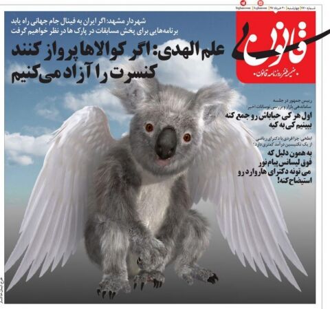 وقتی کوالاها پرواز کنند