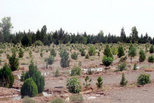 مبارزه با ریز گردها در خراسان رضوی