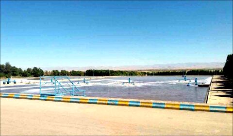 کشاورزی با پساب آلوده تهدیدی علیه بهداشت عمومی و سلامت مردم