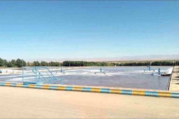 کشاورزی با پساب آلوده تهدیدی علیه بهداشت عمومی و سلامت مردم