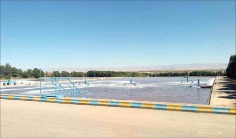 کشاورزی با پساب آلوده تهدیدی علیه بهداشت عمومی و سلامت مردم