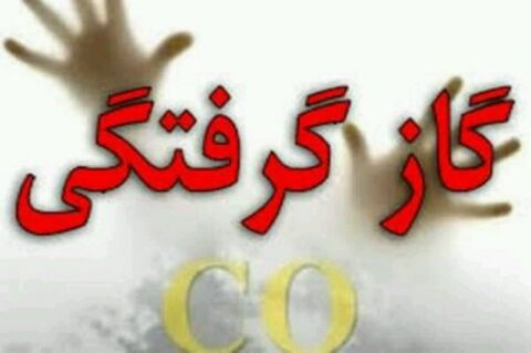 جان‌باختن ۴ نفر در پی حادثه گاز گرفتگی در چاه آب