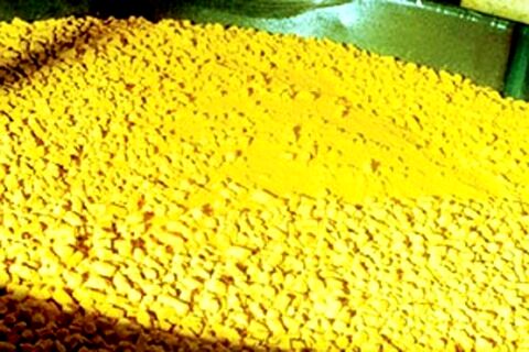 کارخانه تولید "UF۶" مجددا راه اندازی شد