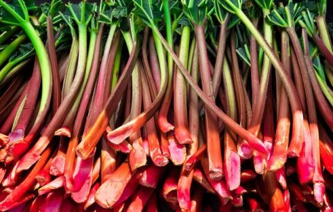 خورشت ریواس این خوشمزه تابستانی