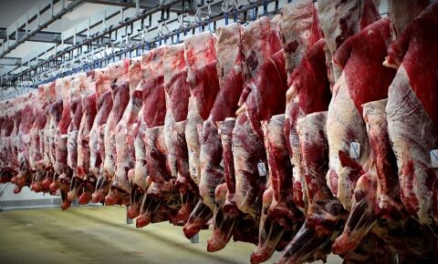 قیمت هر شقه گوشت گوسفندی به 51 هزار تومان رسید/ خروج دام از غرب کشور در آستانه عید قربان خطرناک است