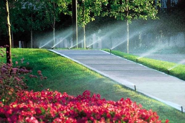 آبیاری تانکری فضای سبز در روز ممنوع شد