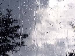آغاز بارش باران بهاری در مشهد