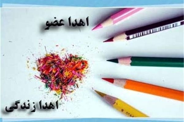 اهدای عضو به شش بیمار زندگی دوباره بخشید
